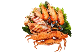  Seafood Main